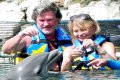 Goldie Hawn Rocks a Red Swimsuit at Age 67, Feeds Dolphins With Kurt Russell